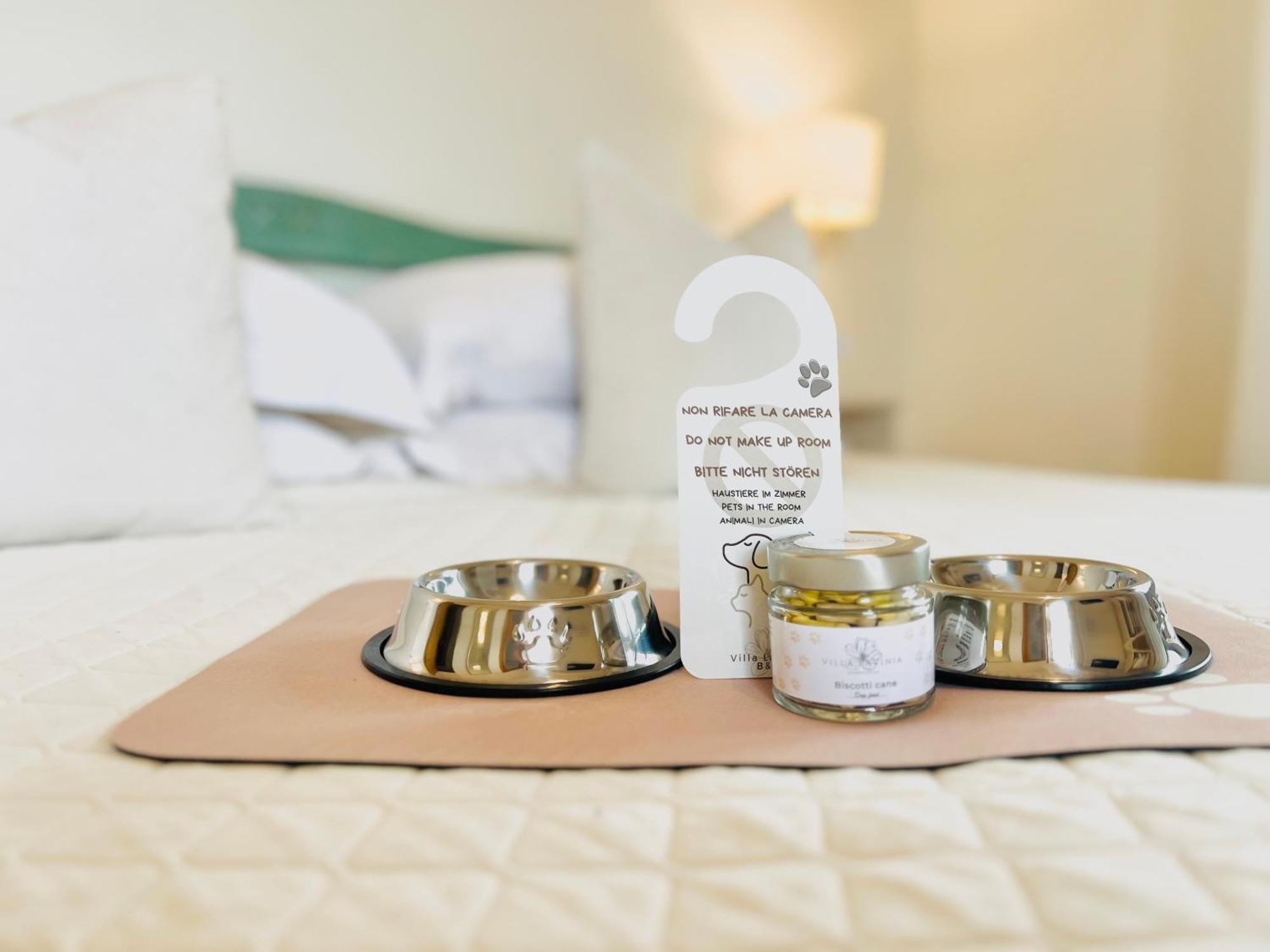 Villa Lavinia B&B 蒙泰斯库达伊奥 客房 照片
