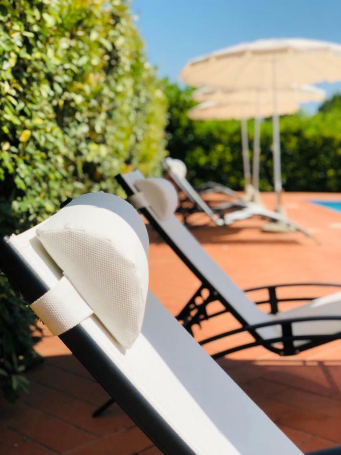 Villa Lavinia B&B 蒙泰斯库达伊奥 外观 照片